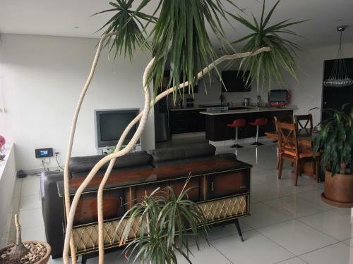 Napoles Condo Suite