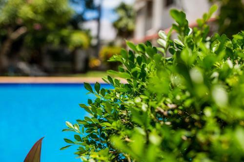 Hostal Casa Blanca