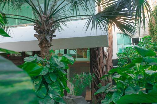 Hostal Casa La Selva