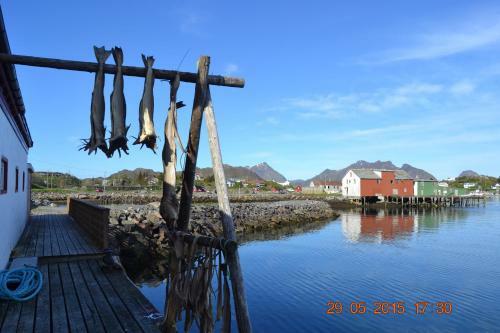 Hotel Sj�strand Rorbuer