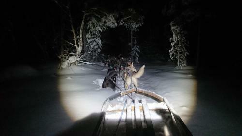 Apartamento Gotokirkenes
