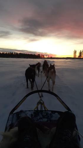 Apartamento Gotokirkenes