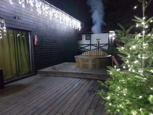 Hotel Tree House