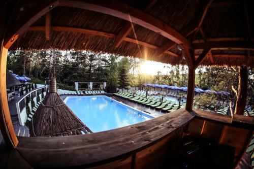 Hotel Tree House