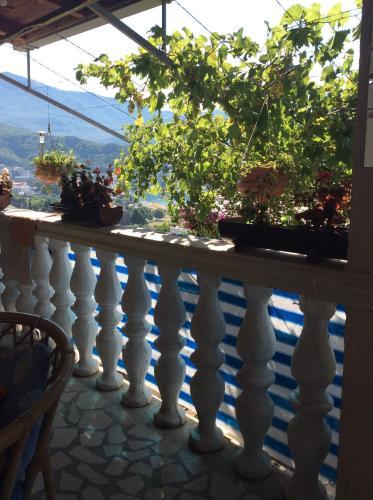 Hostal Apartments Sandra