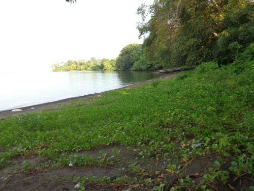Hostal Rancho Sabor Isle�o - Ometepe