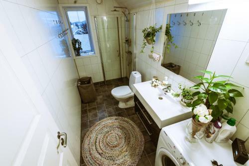 Hostal Bed & Waffles, Troms�