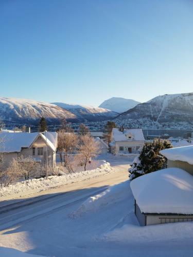 Hostal Bed & Waffles, Troms�