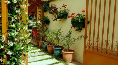 Hotel Kruja