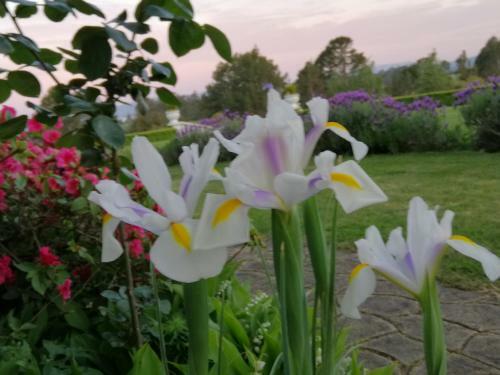 Bed & Breakfast Country Villa