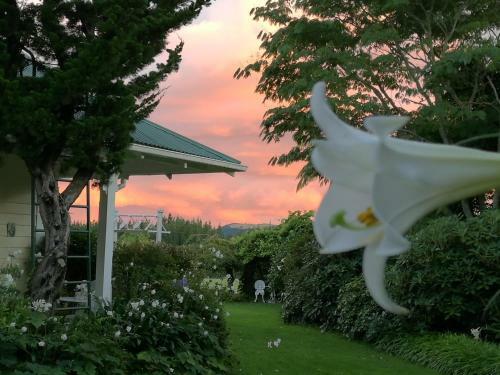 Bed & Breakfast Country Villa