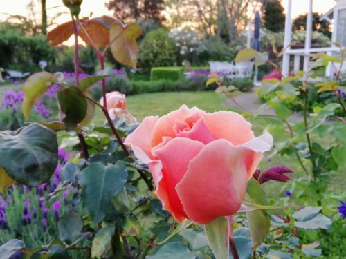 Bed & Breakfast Country Villa