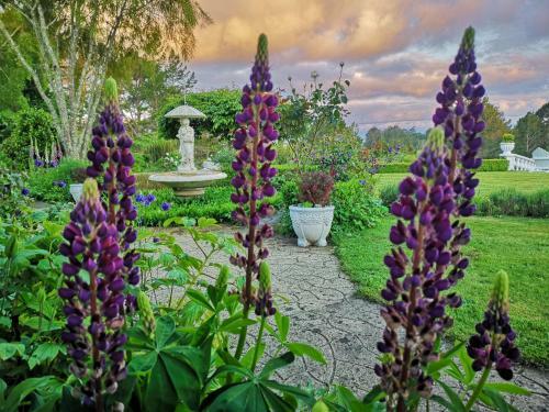 Bed & Breakfast Country Villa