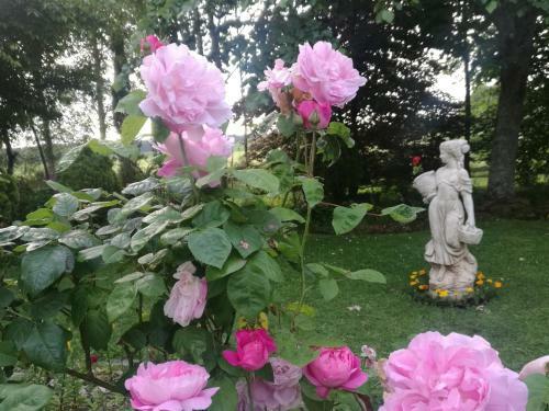 Bed & Breakfast Country Villa