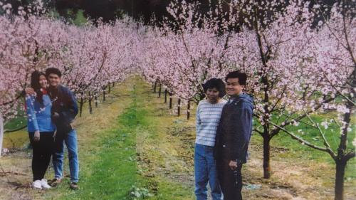 Waitomo Orchard Estate B&B