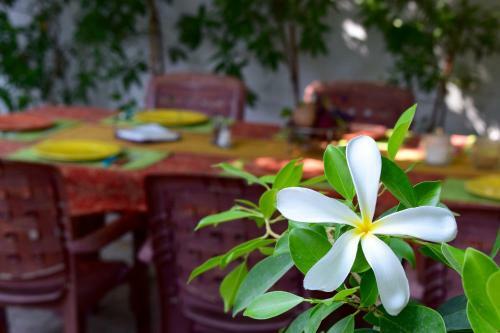 Bed & Breakfast Behlys Villa