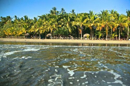 Hotel Oasis Surf Camp