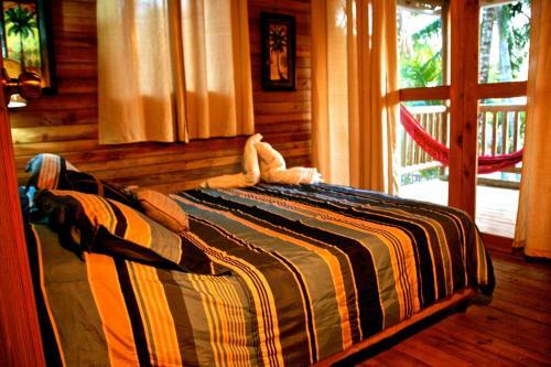 Hotel Oasis Surf Camp