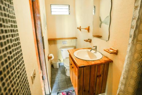 Hotel Oasis Surf Camp