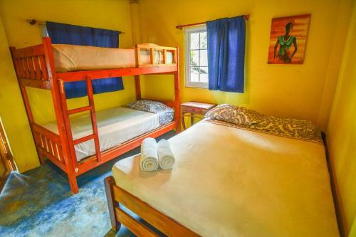 Hotel Oasis Surf Camp