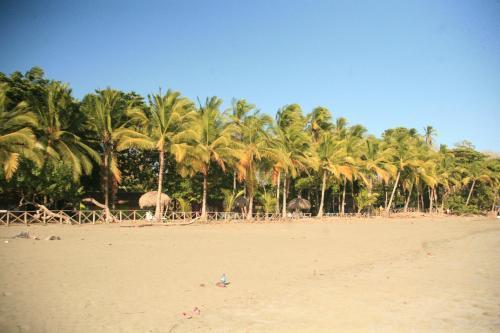 Hotel Oasis Surf Camp