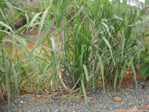 Apartamento Annsrental