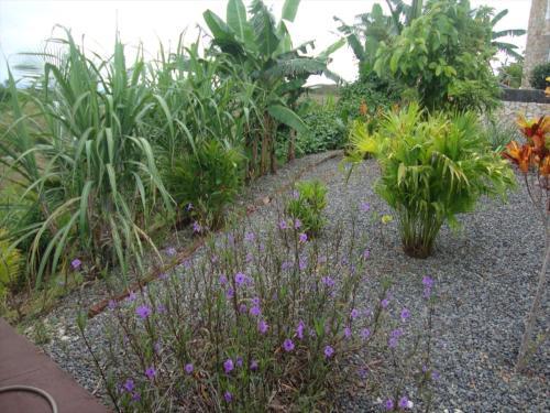 Apartamento Annsrental