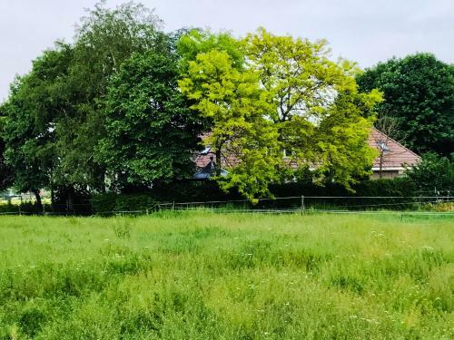 Boerderij Zonneveld
