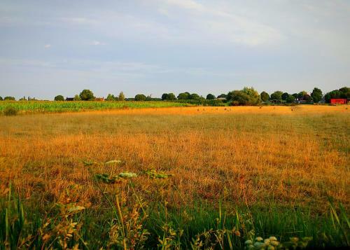 Boerderij Zonneveld