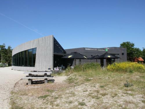 Modern Holiday Home In Schoorl With Forest Nearby