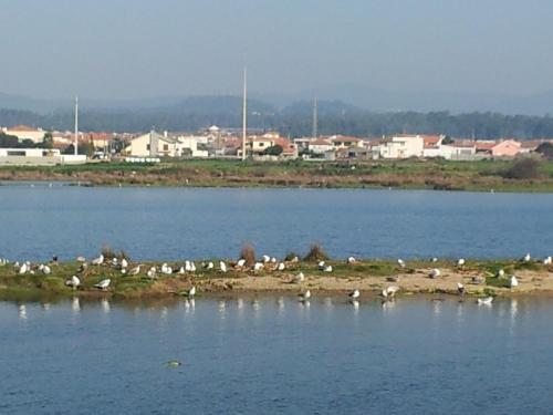 Apartamento Torre De Ofir