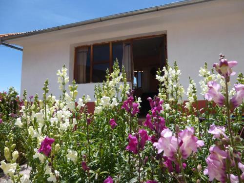 Casa Inti Lodge