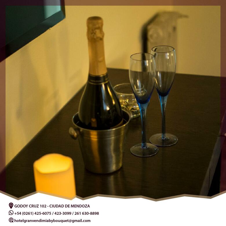 Hotel Sol Andino