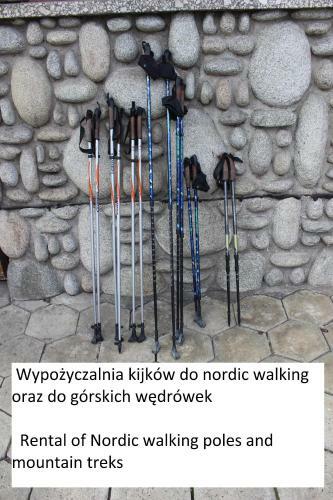 Willa Pod Zielonym Wierchem