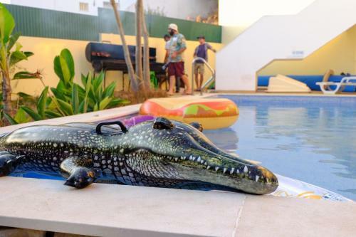 Algarve Surf Hostel - Lagos