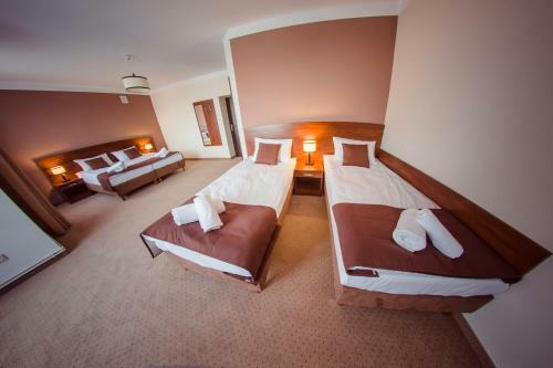 Bed & Breakfast Camelot