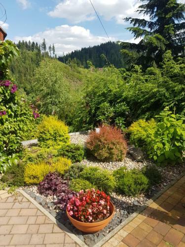 Bed & Breakfast Irena
