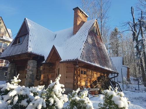 Domek Drewniany Tetmajera Centrum Zakopane
