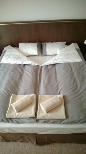 Apartament A66 Diune