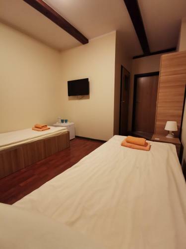 Hostal Noclegi Gemini Dom
