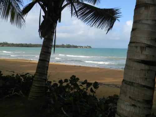 Apartamento A Beach Front Property