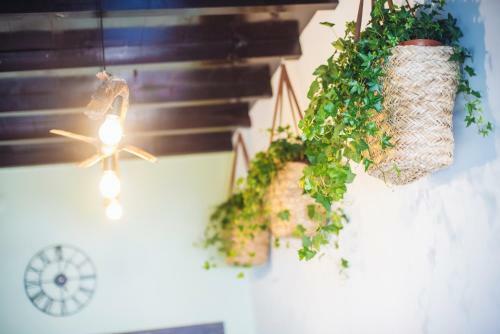 Hostal Balili Surf House