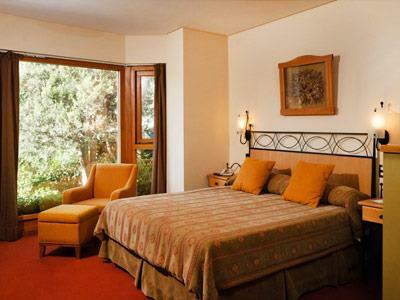 Hotel Antuquelen