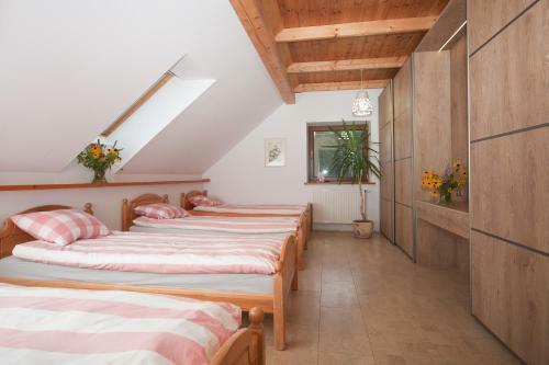 Villa Bies�wko 22