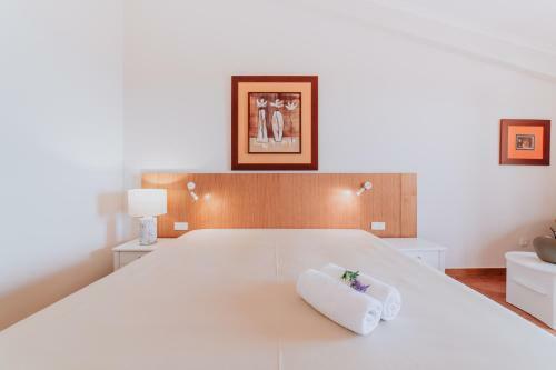 Posada Villa Amore Accommodation