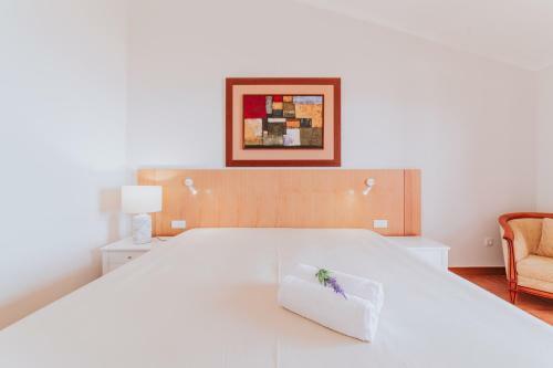 Posada Villa Amore Accommodation