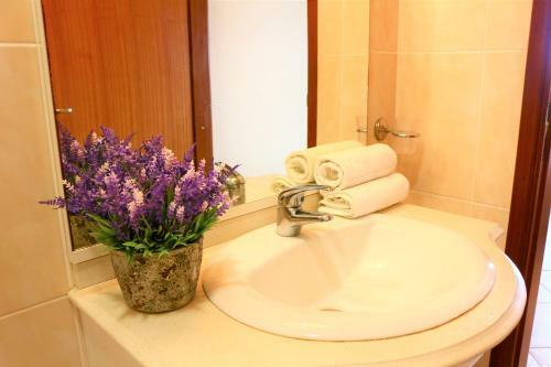 Posada Villa Amore Accommodation