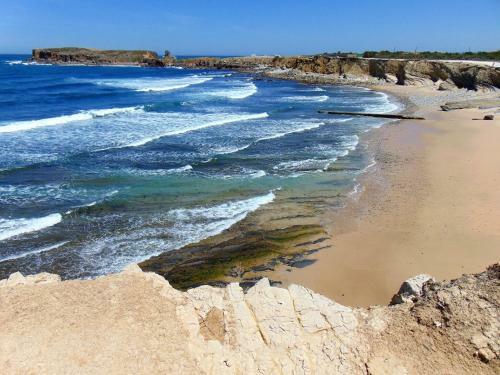 Surf Peniche - Ocean View