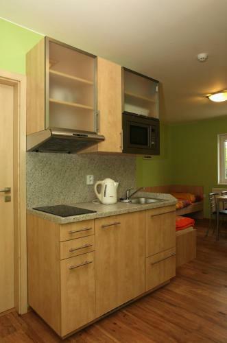 Apartm�ny Na Vina?sk�