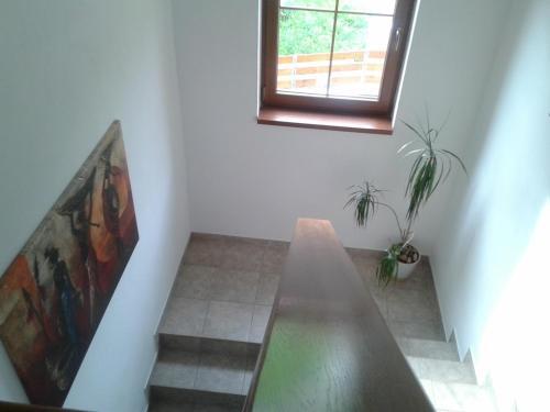 Apartments U Kostela